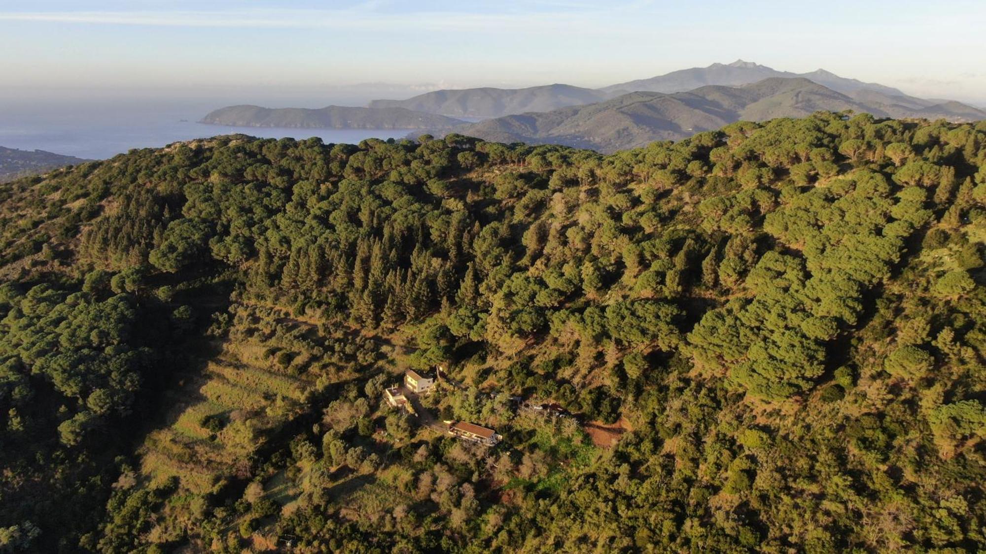 Aria Di Collina - Isola D'Elba Leilighet Porto Azzurro Eksteriør bilde