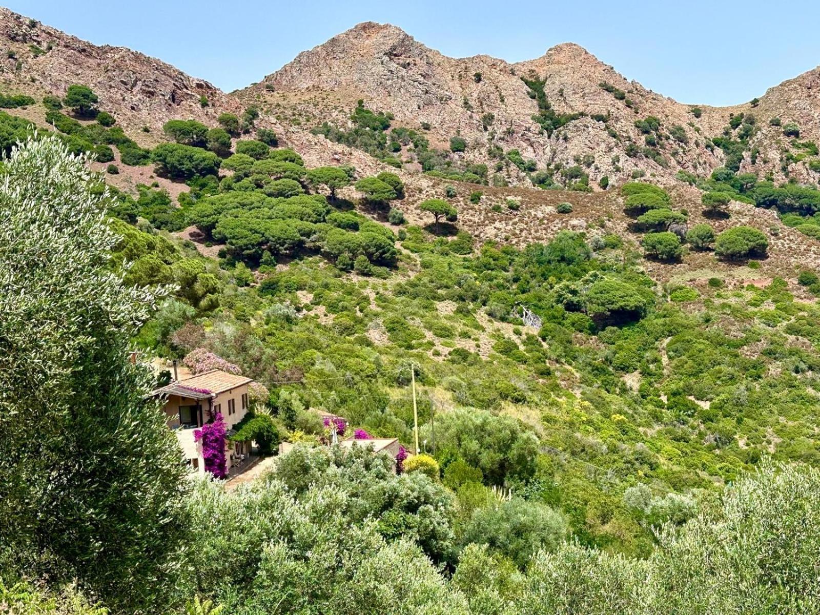 Aria Di Collina - Isola D'Elba Leilighet Porto Azzurro Eksteriør bilde